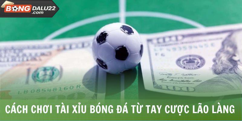 Cách Chơi Tài Xỉu Bóng Đá Chuẩn Săn Thưởng Hậu Hĩnh 8 Cách chơi tài xỉu bóng đá từ tay cược lão làng