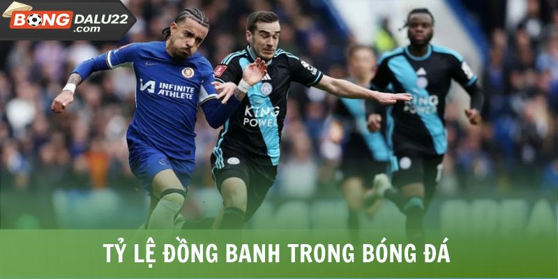 Kèo Chấp Là Gì Và Hướng Dẫn Đọc, Cách Bắt Kèo Trúng Lớn 7 Tỷ lệ đồng banh trong bóng đá