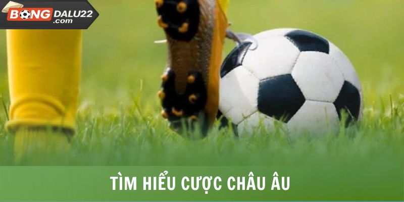 Kèo Châu Âu - Tổng Hợp Thông Tin Hình Thức Cược Thịnh Hành 6 Tìm hiểu cược châu Âu