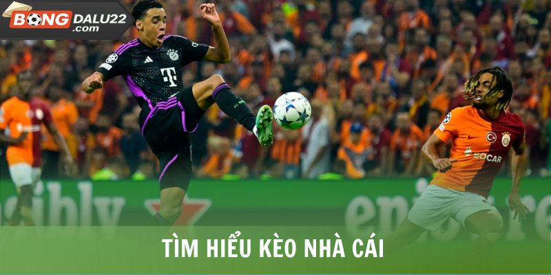 Kèo Nhà Cái 1 Tìm hiểu kèo nhà cái