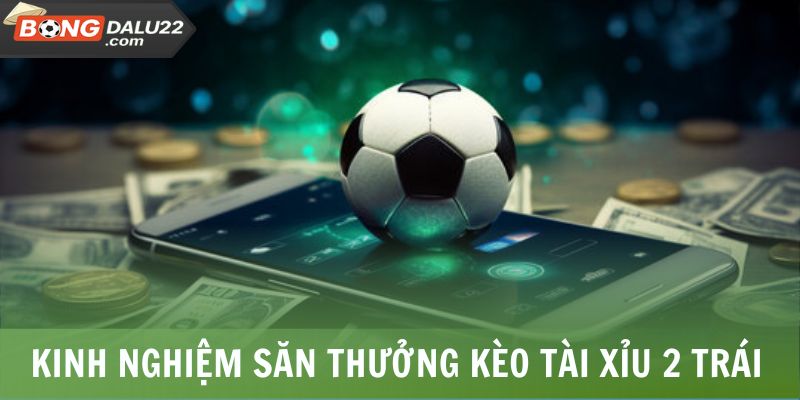 Lời Giải Đáp Tài Xỉu 2 Trái Là Gì Chi Tiết Từ BONGDALU 8 Kinh nghiệm săn thưởng với kèo tài xỉu 2 trái