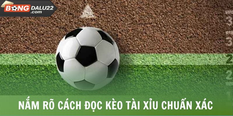 Cách Chơi Tài Xỉu Bóng Đá Chuẩn Săn Thưởng Hậu Hĩnh 7 Nắm rõ cách đọc kèo tài xỉu chuẩn xác