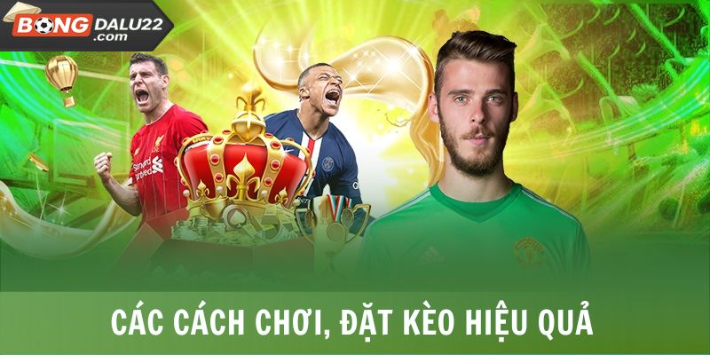 Odds Là Gì? Cách Tính Odds Cơ Bản, Dễ Hiểu Tại BONGDALU 8 Các cách chơi, đặt kèo hiệu quả