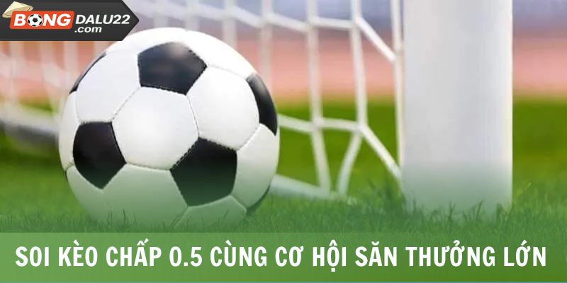 Kèo Chấp 0.5 - Bí Kíp Bắt Kèo Chuẩn Xác Từ Chuyên Gia 6 Soi kèo chấp 0.5 cùng cơ hội săn thưởng lớn