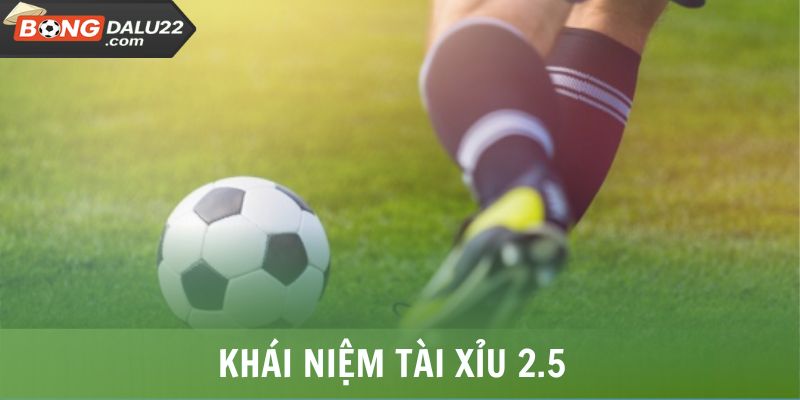 Tài Xỉu 2.5 Là Gì? Cách Đọc, Kinh Nghiệm Bắt Kèo Hiệu Quả 6 Khái niệm Tài Xỉu 2.5