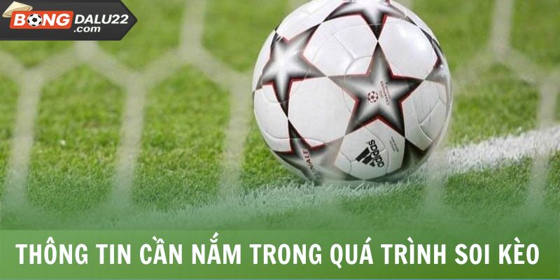 Kèo Chấp 0.5 - Bí Kíp Bắt Kèo Chuẩn Xác Từ Chuyên Gia 7 Thông tin cần nắm trong quá trình soi kèo