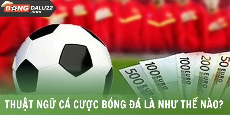 Thuật Ngữ Cá Cược Bóng Đá - BONGDALU Giải Thích Chi Tiết 6 Đôi nét thuật ngữ cá cược bóng đá