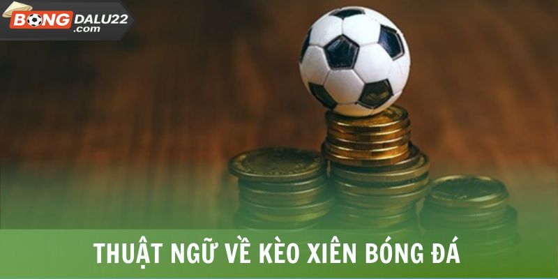Thuật Ngữ Cá Cược Bóng Đá - BONGDALU Giải Thích Chi Tiết 8 Thuật ngữ về kèo xiên bóng đá